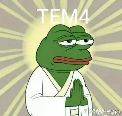  专四经验分享超级详细,内有干货