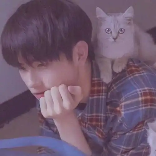  头像壁纸希望是你梦里有你