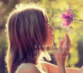  西安求婚公司如何策划惊喜求婚方案