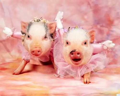  女子晒出老公四年前和现在的对比,网友的评论全是槽点