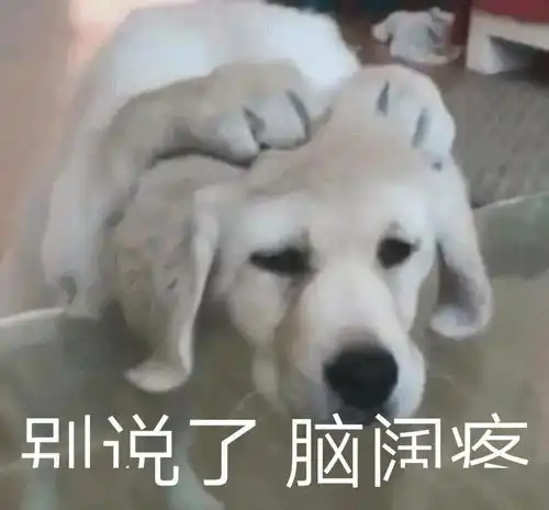 沙雕室友才艺大赏这都是什么鬼才啊