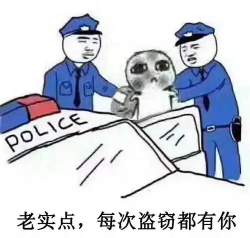  顶风作案三角一名盗窃惯犯又被抓了...
