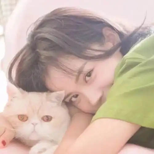  苦日子熬一熬,你才会觉得甜k001