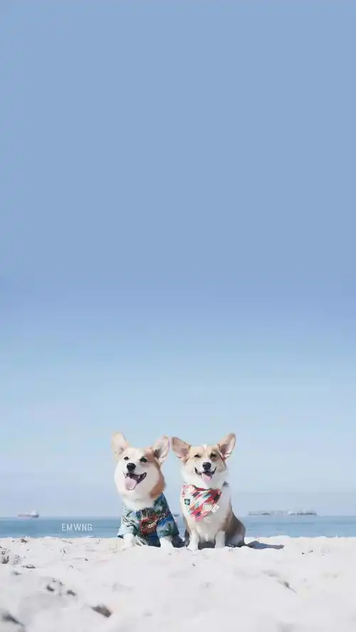  求助这张图有搭配的情头吗进帖瘦十斤