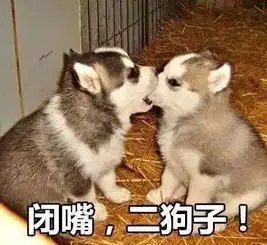  曾经是四小花旦的她,居然悄咪咪的怀了二胎