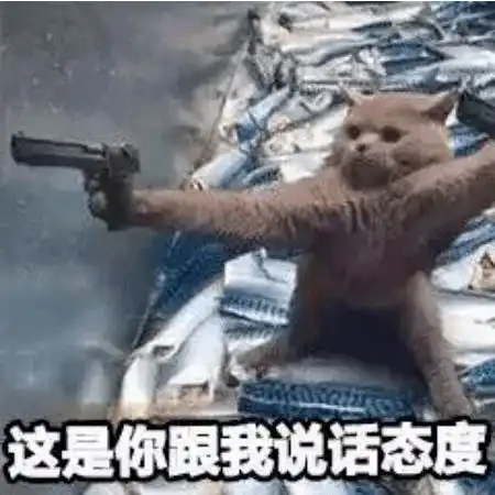  第72期喵表情水果摊阿姨都承认你甜过初恋