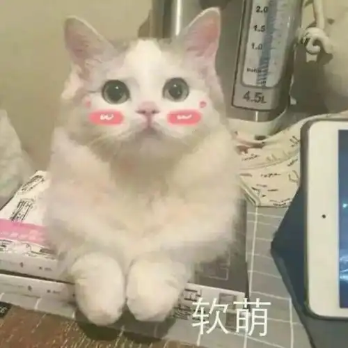 适合官宣分手和好的配套憨憨沙雕句子
