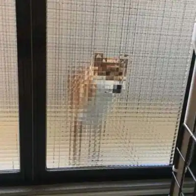  神仙情头啊,爱了爱了