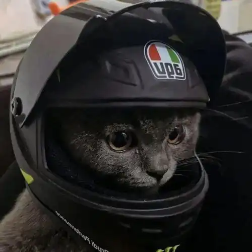  情头丨情侣头像