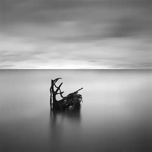  裂口饺的相册thomasleong