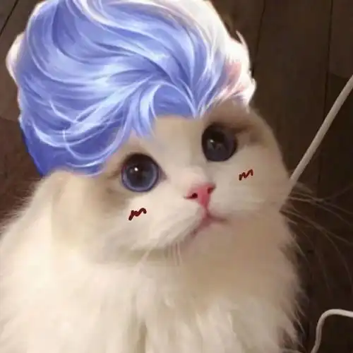  王者荣耀长城守卫军猫咪头像