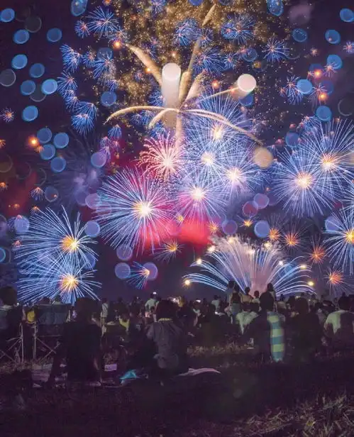  幻夜星宿独白之女坏