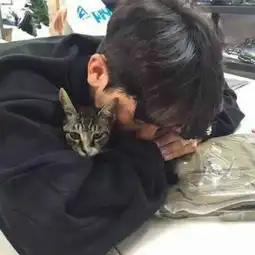  35911頖乱灬冭孓简介35911頖乱灬冭孓背景介绍yy官方