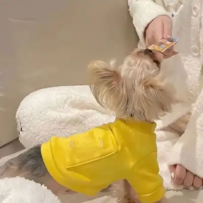  2023最新温馨女孩与狗狗情侣头像