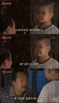  现在网上最火的小孩是谢飞机表情包有着落了