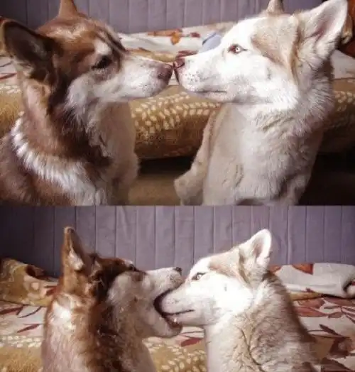  妹子,穿着裤子出门不觉得尴尬吗,花钱买这种裤子不值得