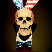  骷髅武装起来也会让人害怕微信头像图片大全