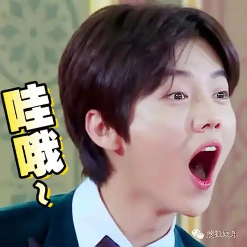  鹿晗演唱会开票,究竟是怎么一回事
