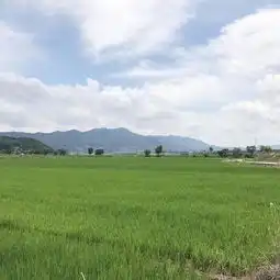  最不擅长处理家长里短,喜欢远离世俗的星座