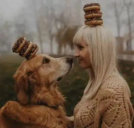  为了给自己留个念想,情侣和金毛拍了一组写真,真的太美了