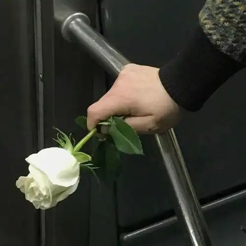  有没有像这样的头像,手拿花的