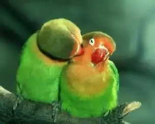  求另一个情侣头像