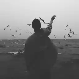  眼前人最可贵释了凡lg单曲网易云音乐