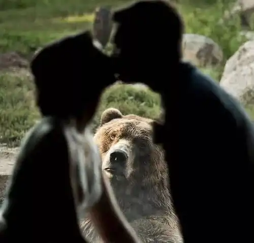  有可以一个人用的沙雕头像吗