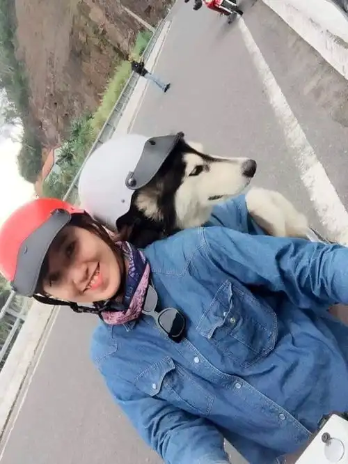 二哈穿情侣装陪女主人走出情伤,不离不弃陪伴让人超感动