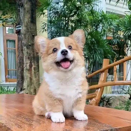  android源码解析之android系统启动整体流程分析