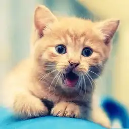  四个预兆提示肠癌,原来身体早就告诉了你,你不重视悔之晚矣,