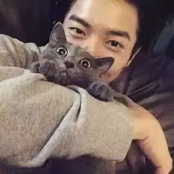  男女生表白攻略,成功率100