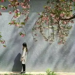  元气小萌人果然只要一有在乎的人就跟傻逼一样