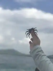 一场与闺蜜的三亚之旅,携手走过天涯海角