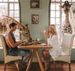  这对情侣只要分享一组照片就有6万收入,他们的职业让人羡慕