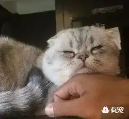  周五下班的鸟样,周一上班的熊样,说的全tm是我