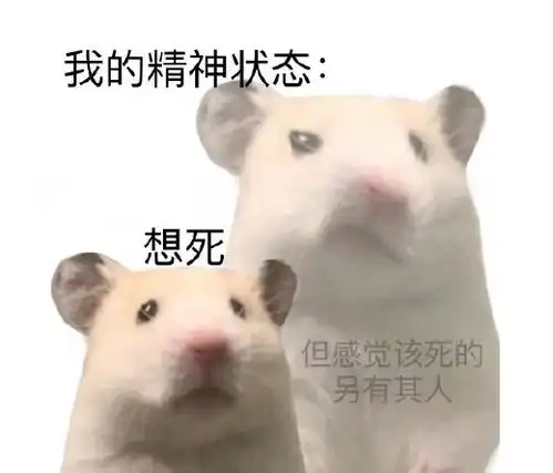 全国不调休放假第一名,别逼我连夜搬家过去