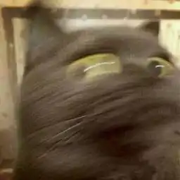  男朋友在找情侣头像这个方面的能力着实让人大吃一惊