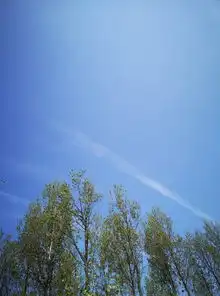  艺术与设计学院写生侧记