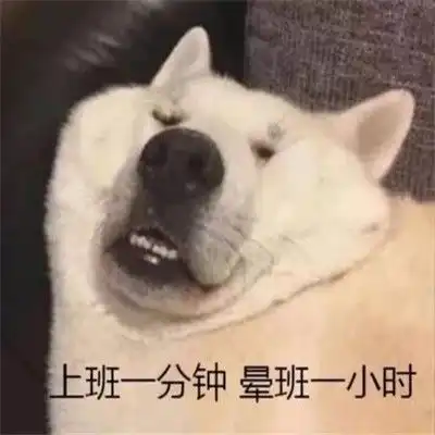  很有氛围感的经典表情