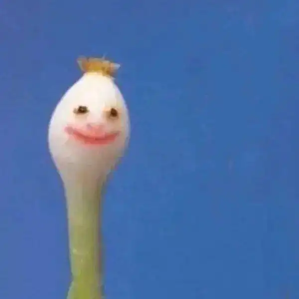  信通合唱队为艺术而生你的专属舞台