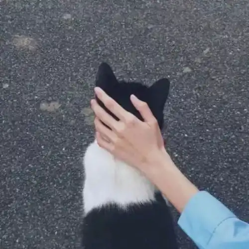  今日头像推荐,12