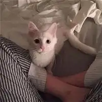  2018年头像男生微信头像图片大全