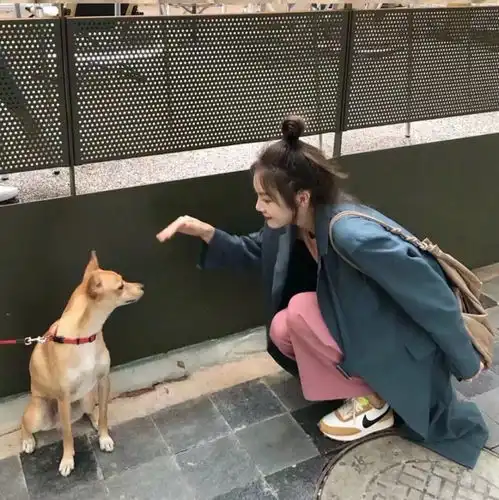  1204嘿女头像生活温暖顺心其他别无所求