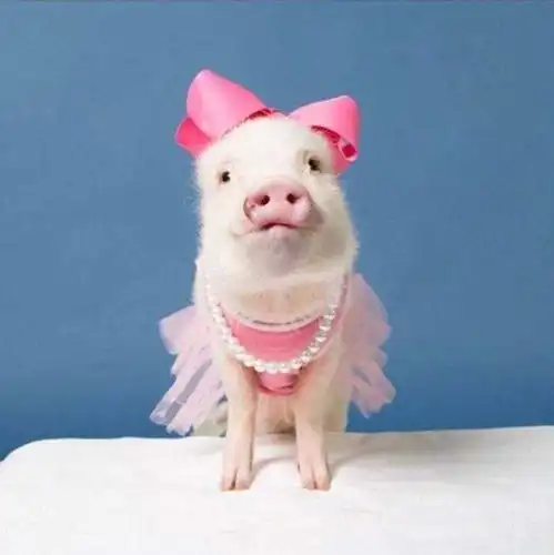  快乐起床歌儿童歌谣高音质在线试听快乐起床歌歌词歌曲下载酷狗音乐