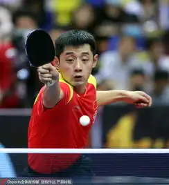  藏獒雄风不在张继科04惨遭张本智和横扫