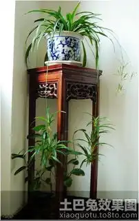  水养植物有哪些水养植物叶子发黄怎么办水养植物养鱼土巴兔家居百科