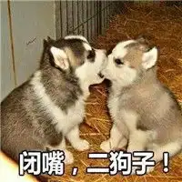  猥琐有点污的狗狗表情包可爱污污的狗狗表情