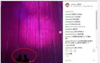  王思聪又交新女友了网友这个好高级啊