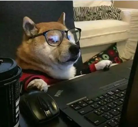  简单分享不想打工呆在家里怎么赚钱的方法